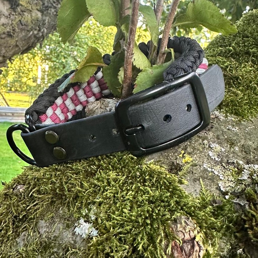 Paracordhalsband Neheim