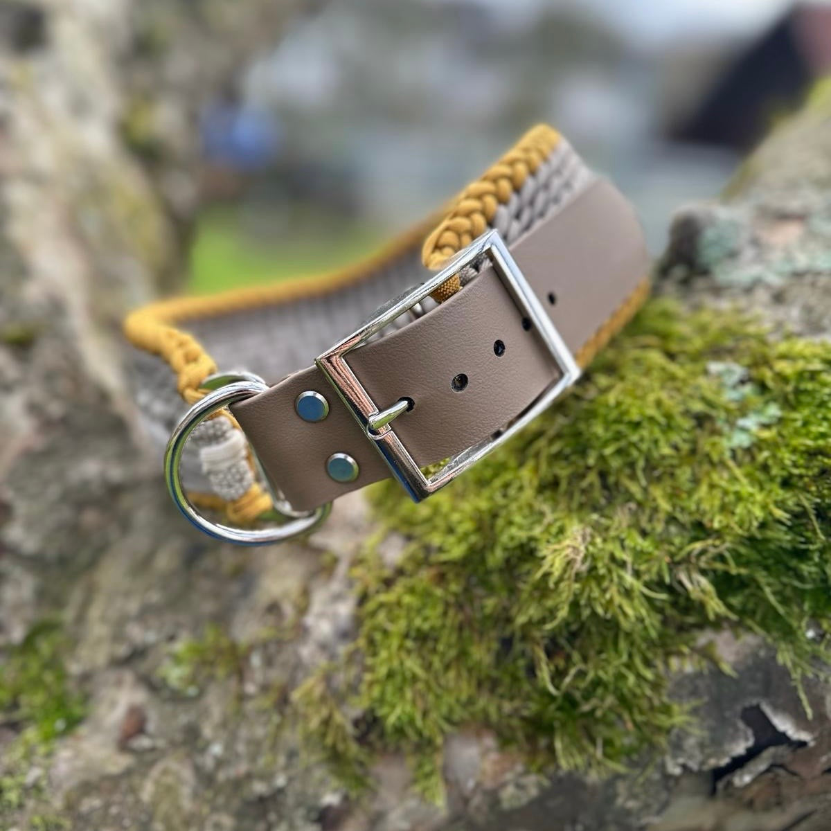 XXL-Paracordhalsband Golden Hour (Sofortkauf)