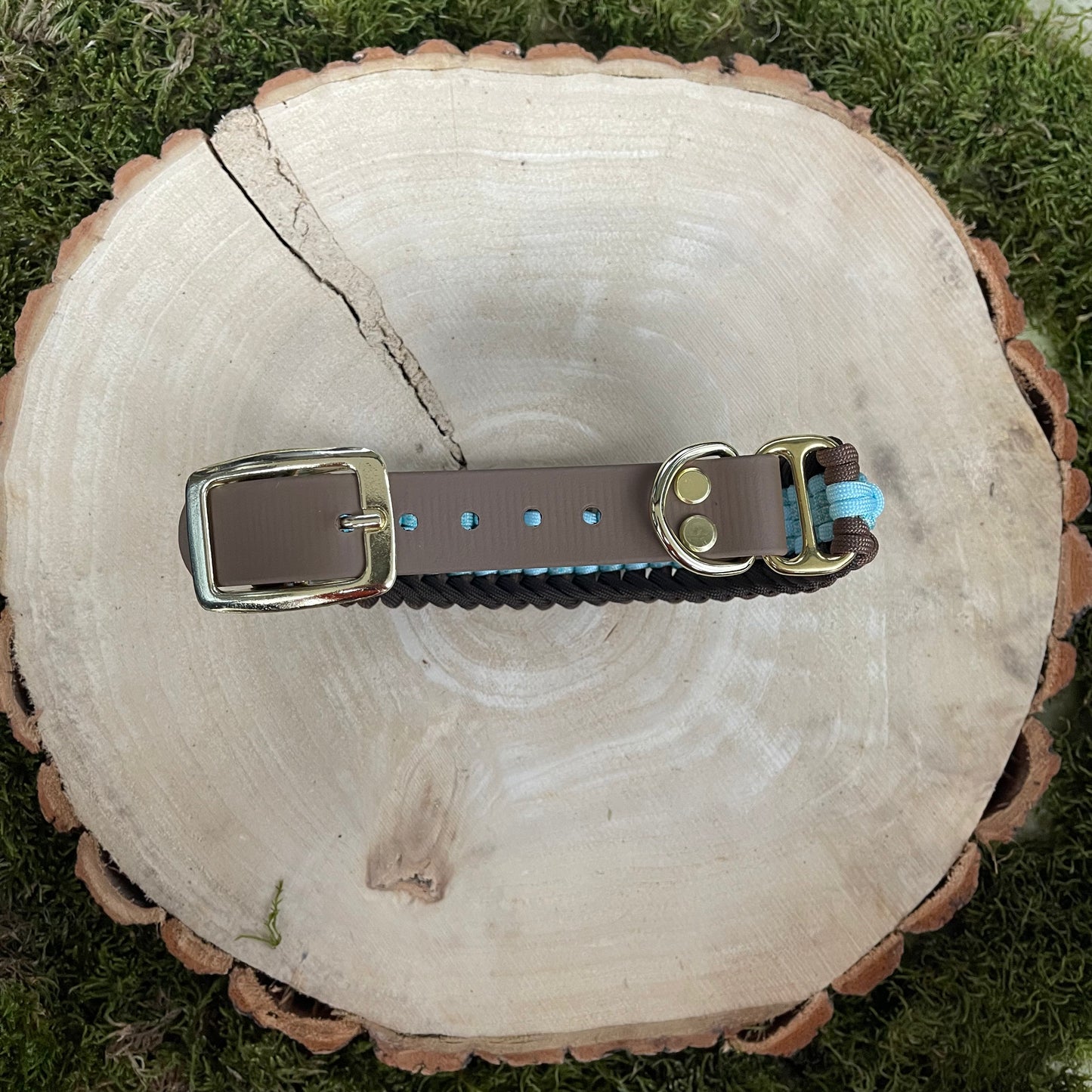 Paracordhalsband Warstein