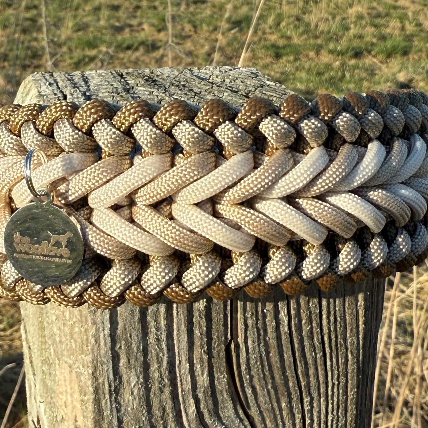 Paracordhalsband Winterberg