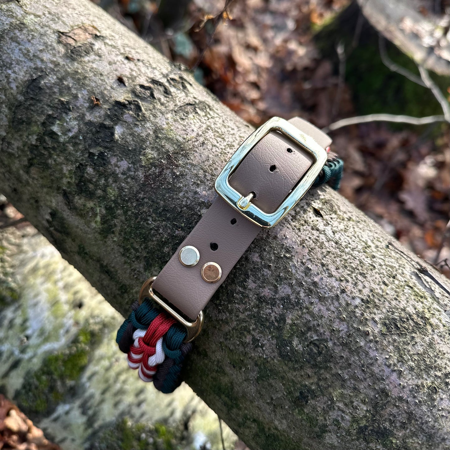 Paracordhalsband Blitzen (Sofortkauf)