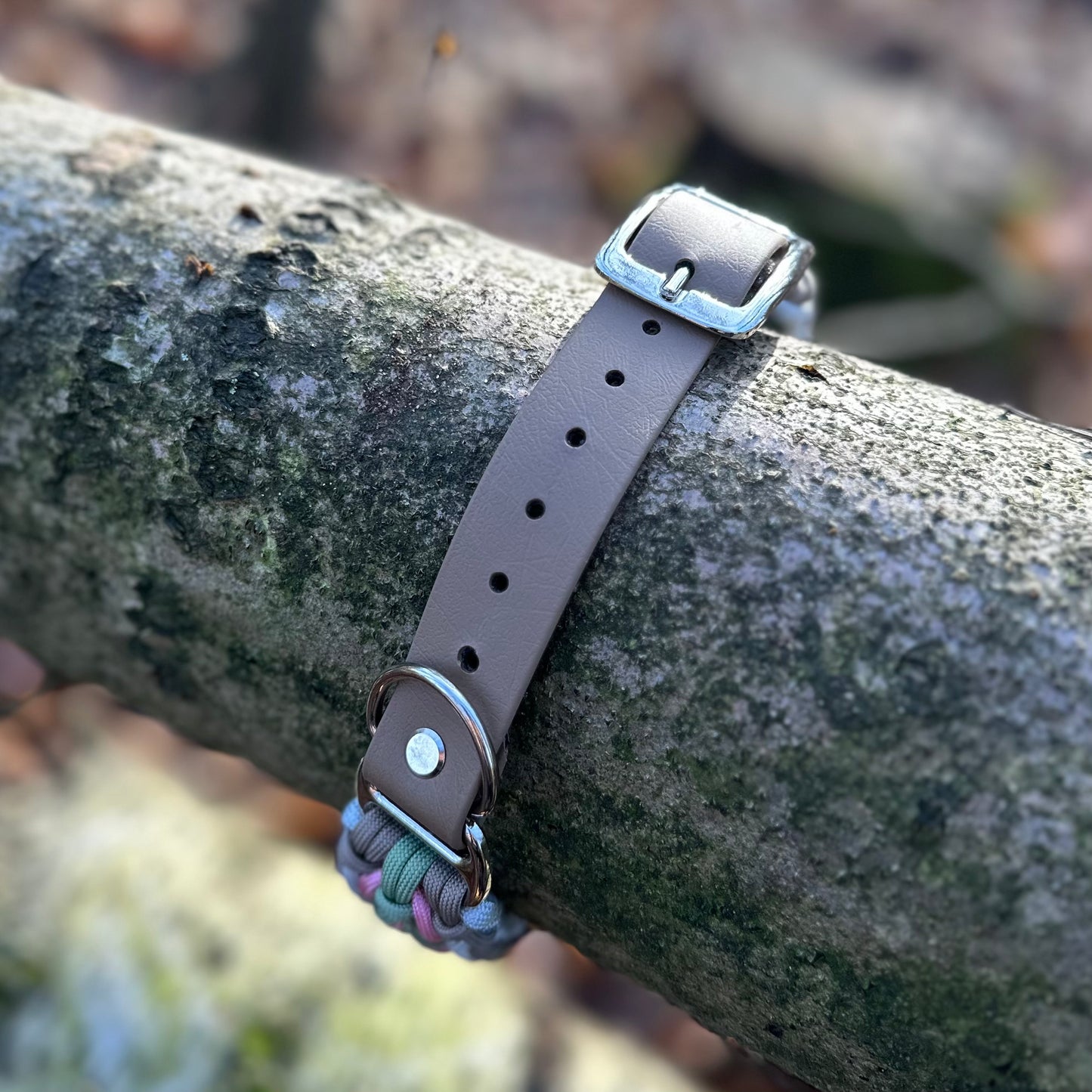 Paracordhalsband Pitty (Sofortkauf)