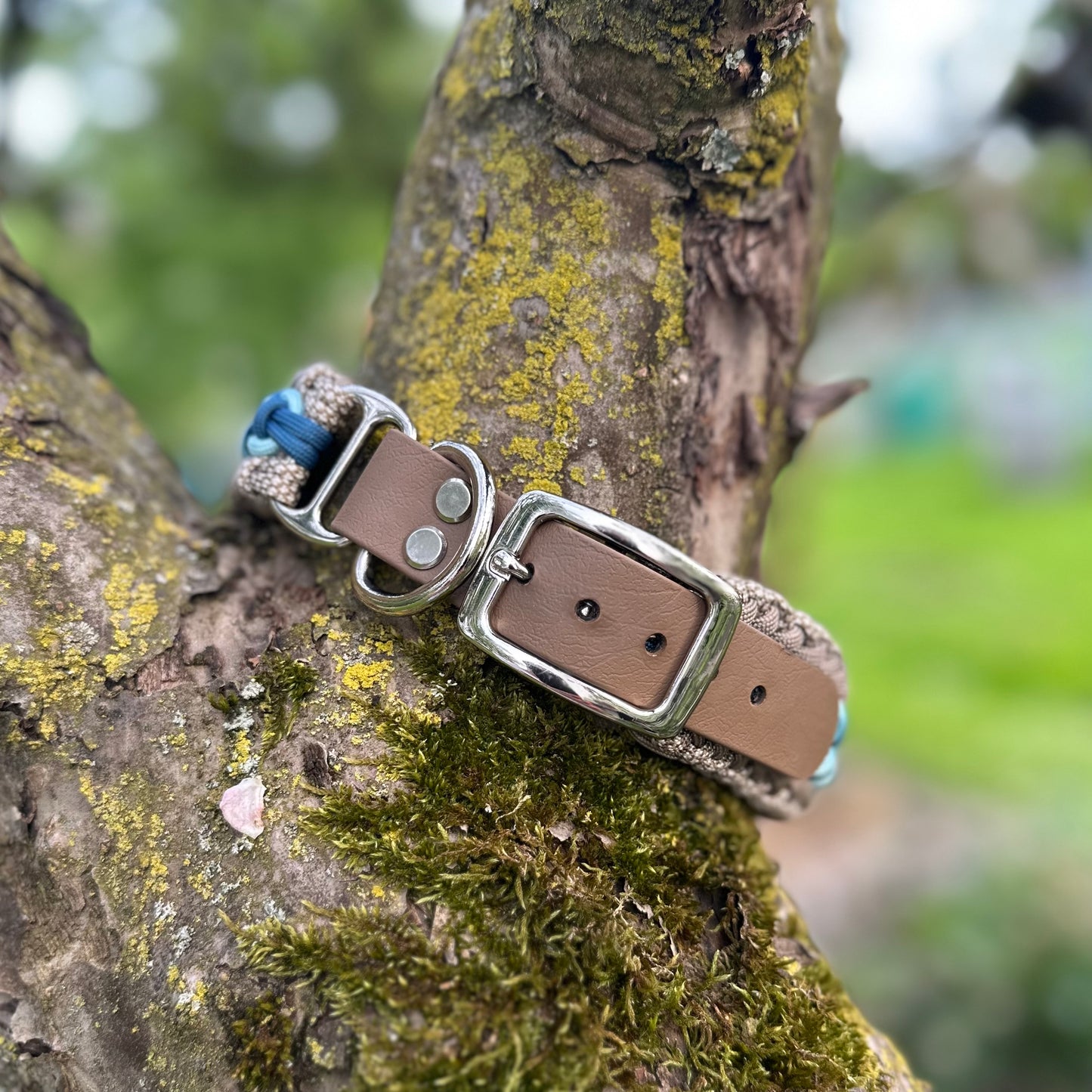 Paracordhalsband Petrol