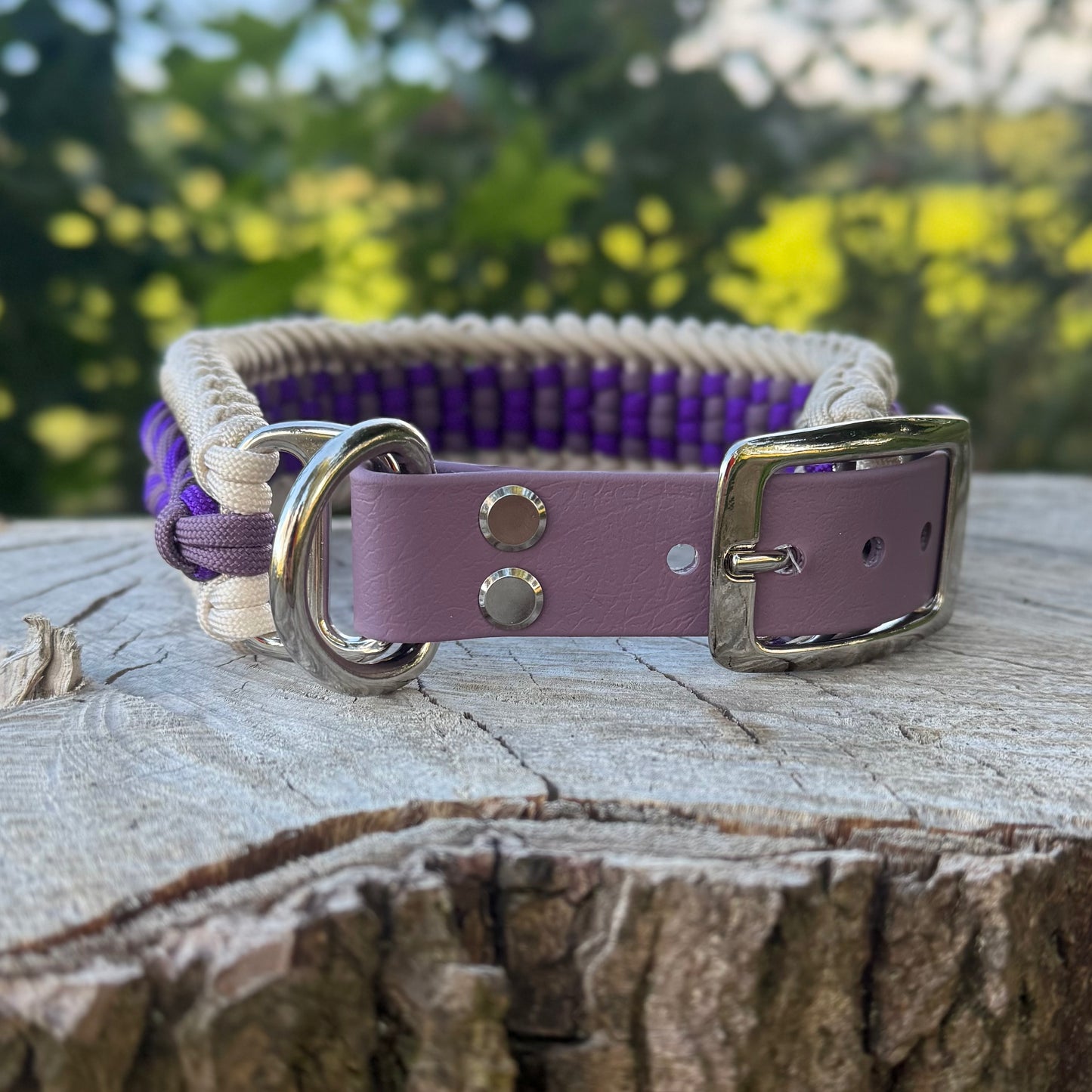Paracordhalsband Willingen