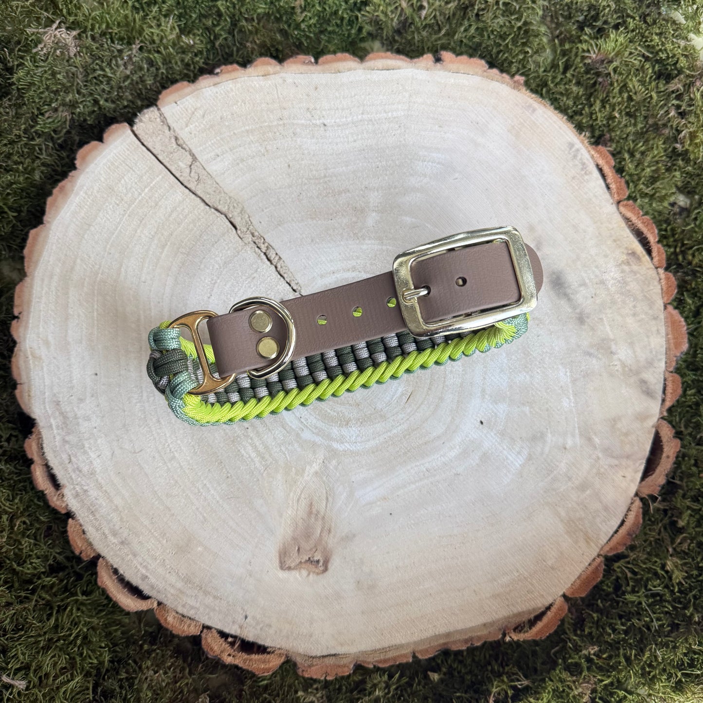 Paracordhalsband Sauerland