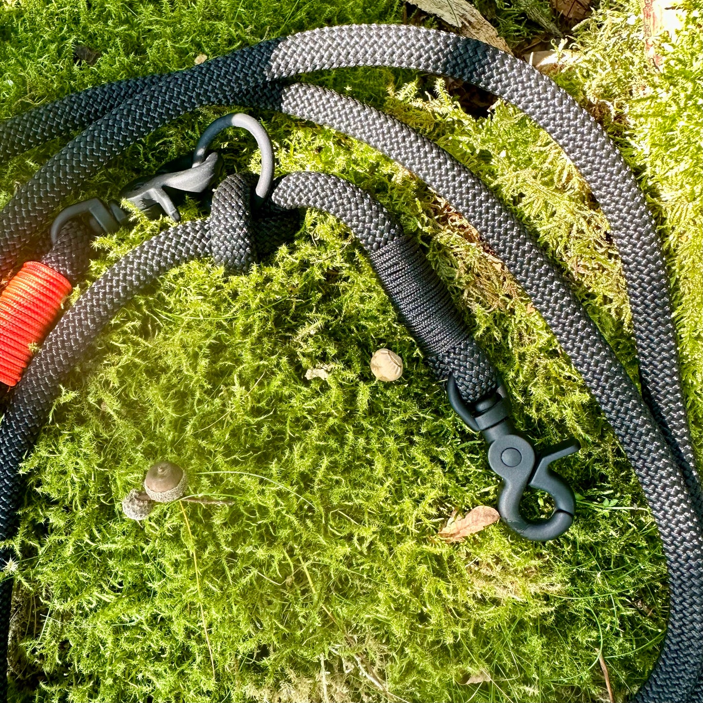 Hundeleine Black & Style