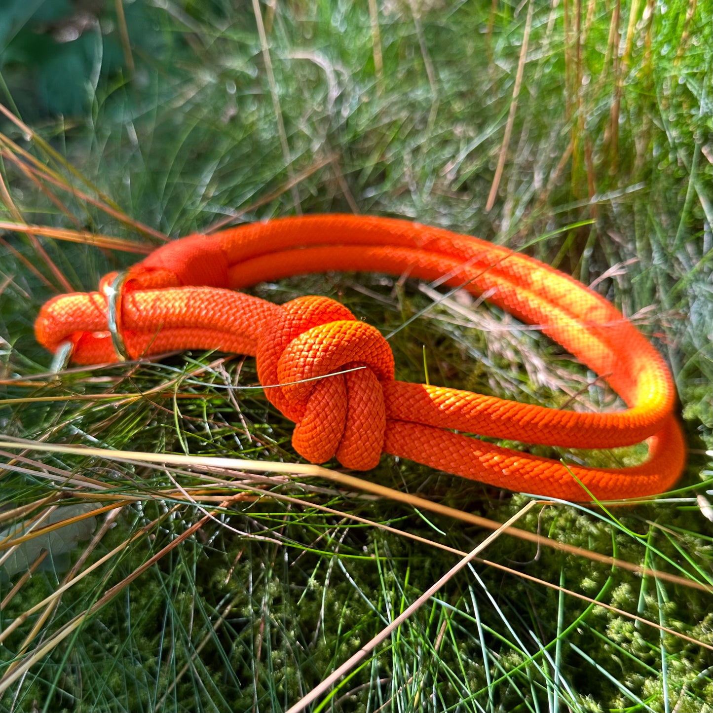 Halsband Zug Stopp Sunset (Sofortkauf)