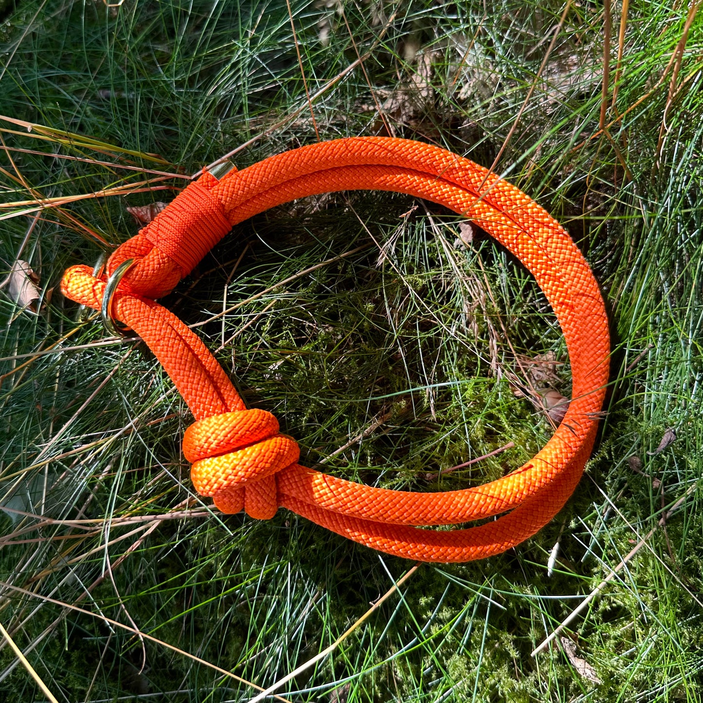Halsband Zug Stopp Sunset (Sofortkauf)