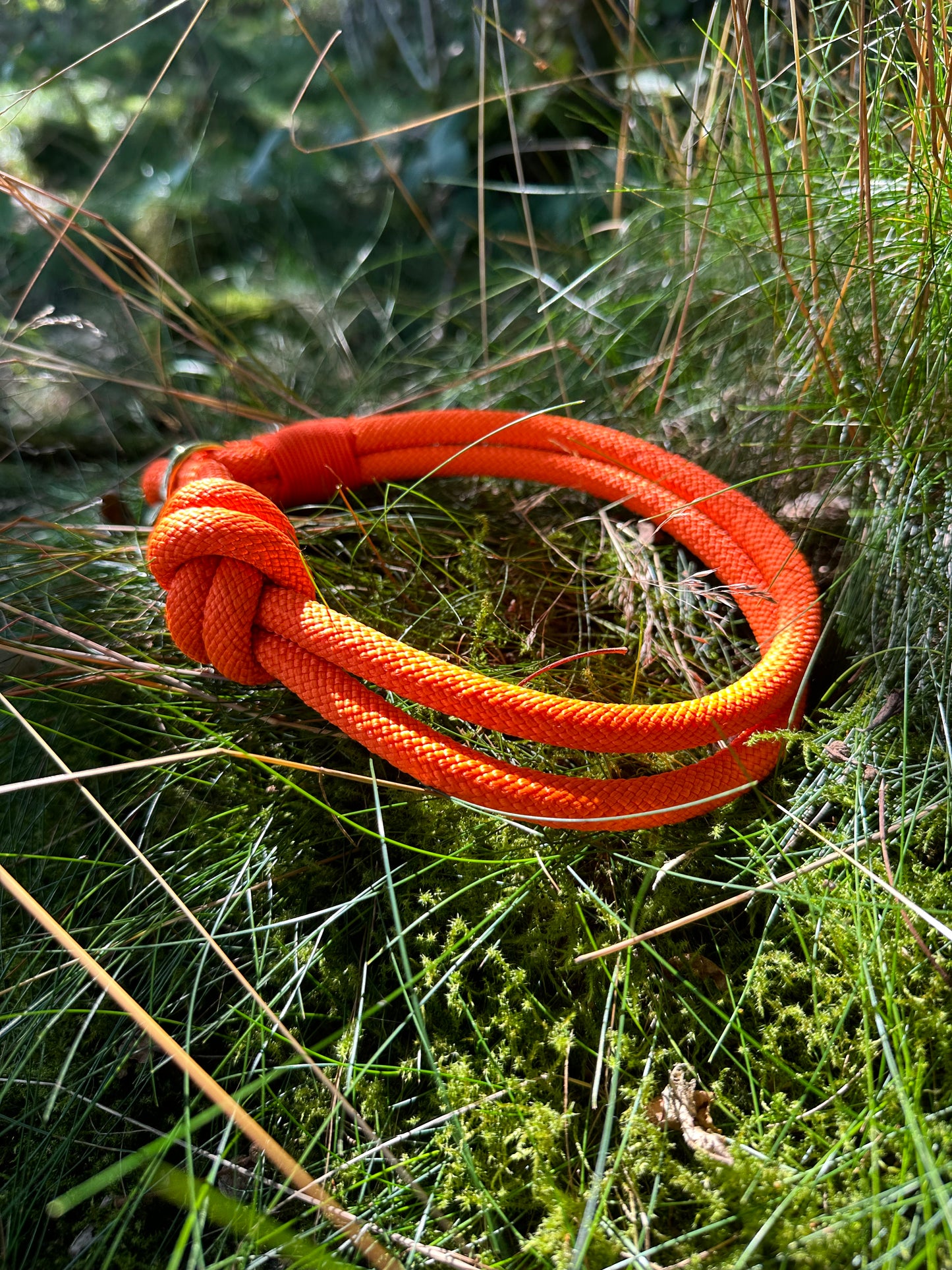 Halsband Zug Stopp Sunset (Sofortkauf)