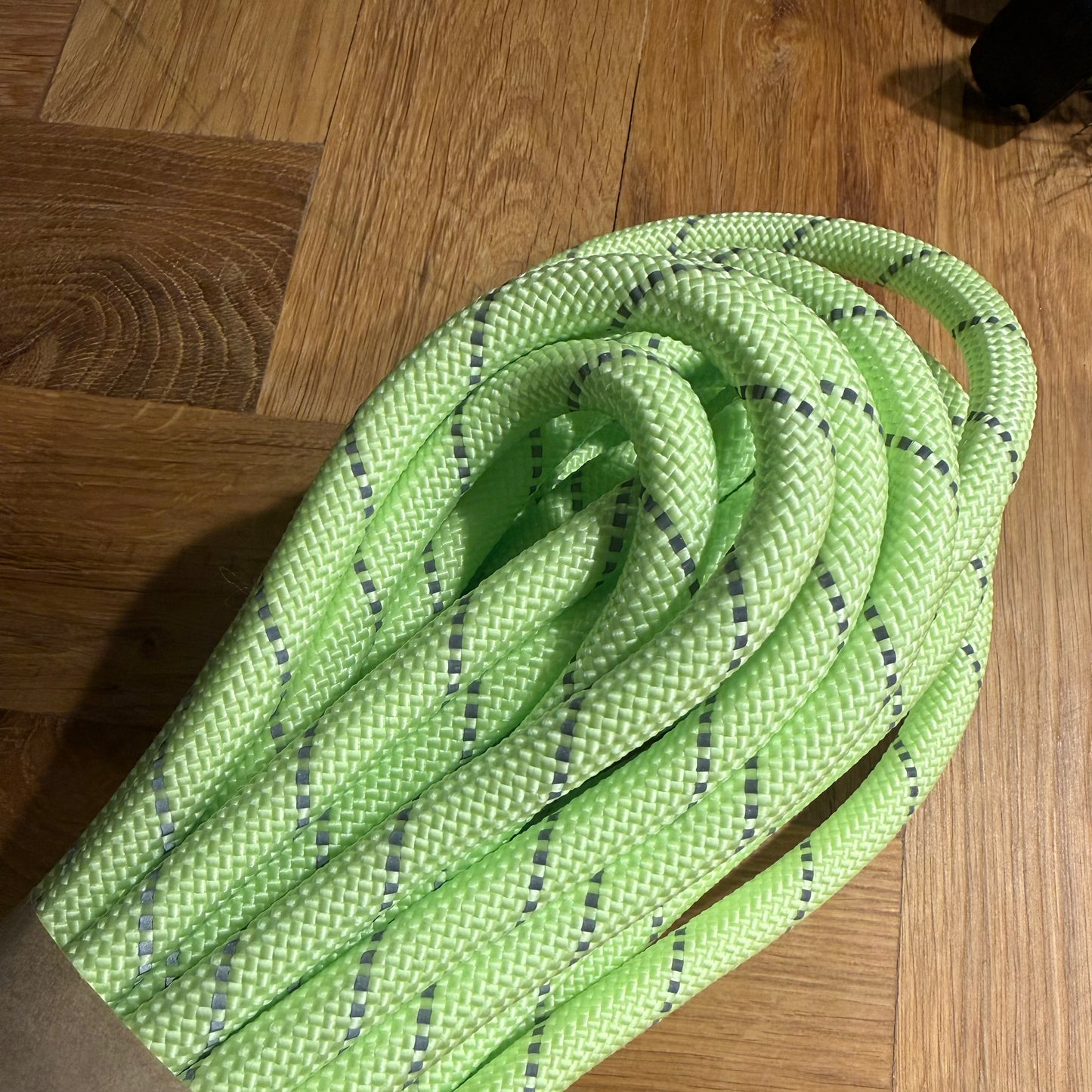 Hundeleine Glow in the Dark Reflektierend