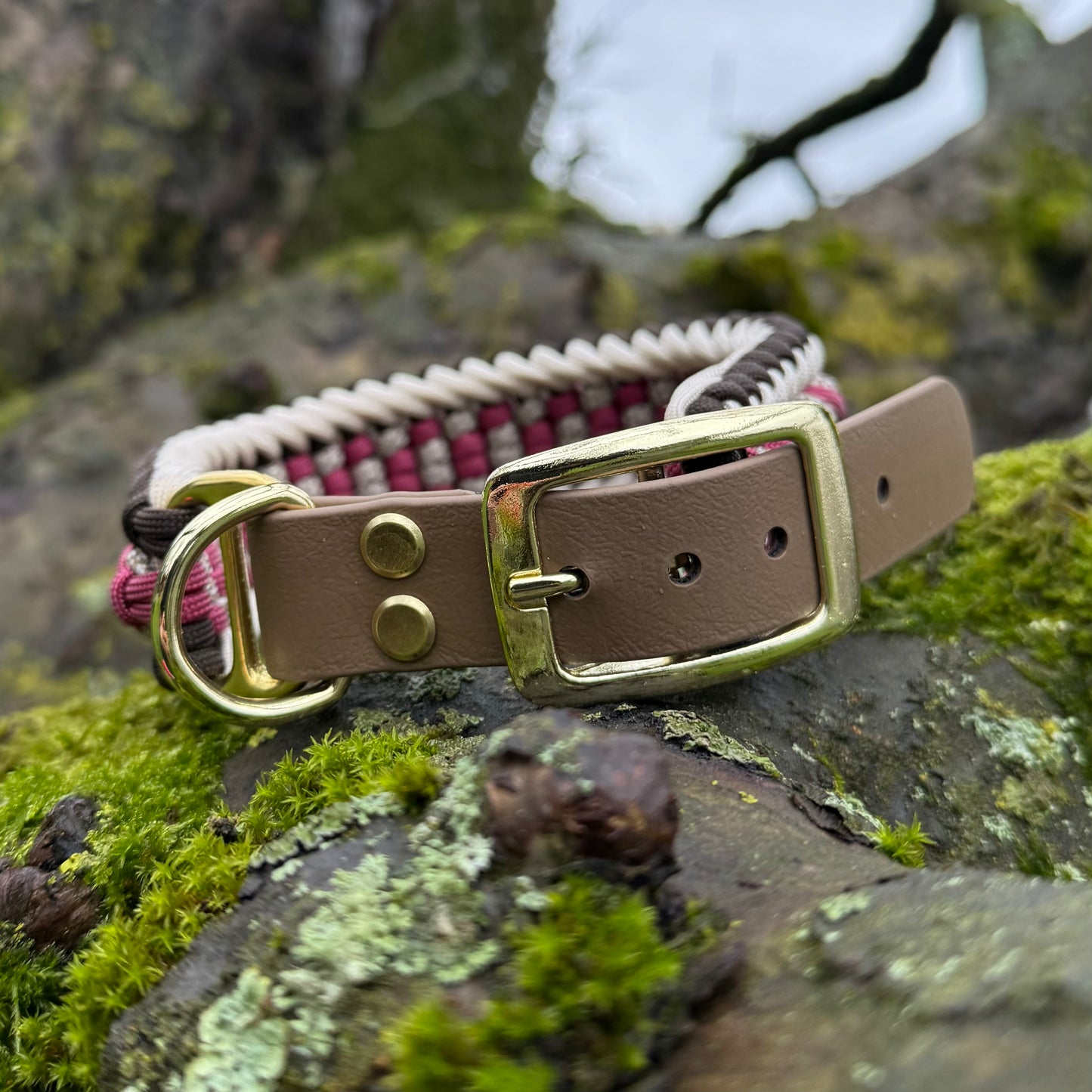 Paracordhalsband Desi (Sofortkauf)