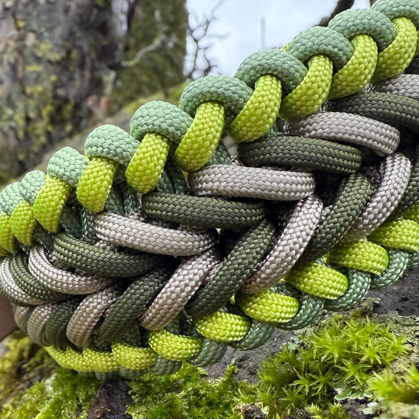Paracordhalsband Sauerland (Sofortkauf)