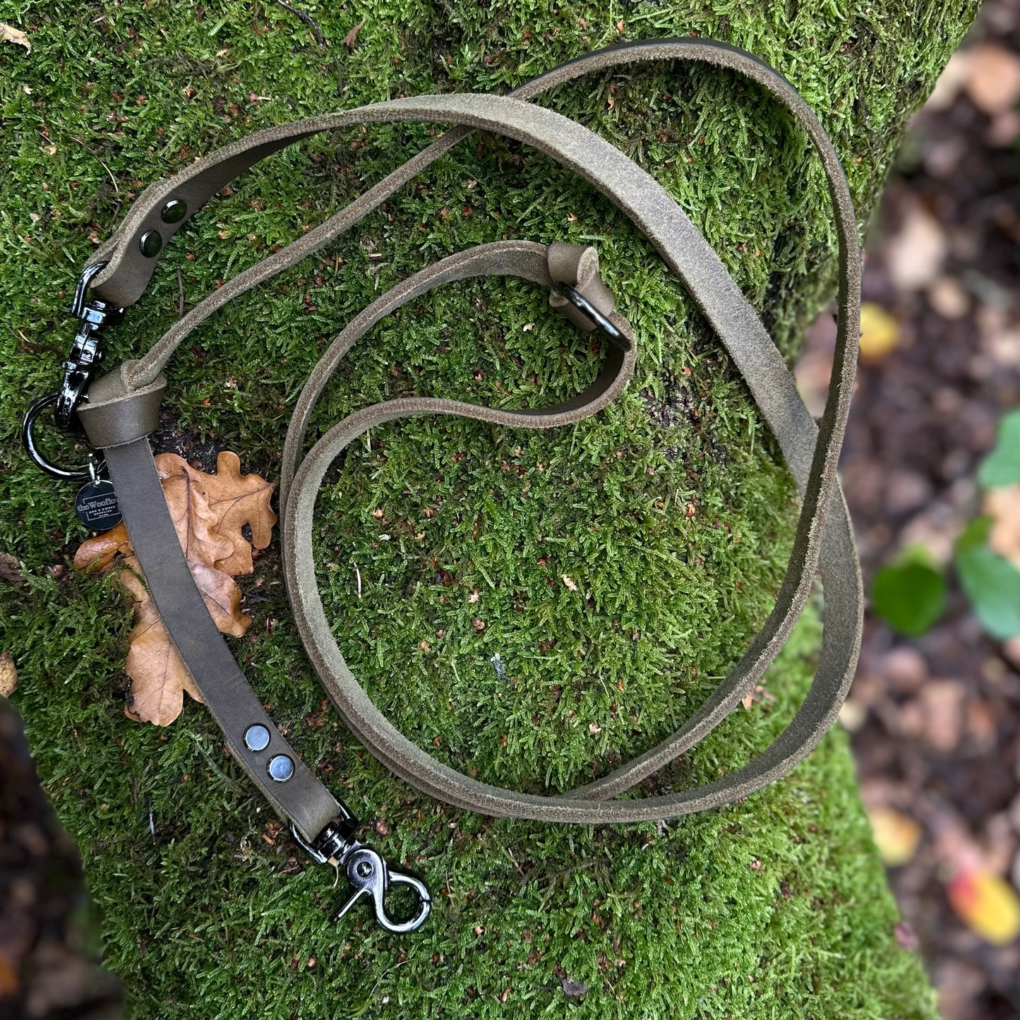 Fettlederleine Olive (Sofortkauf)