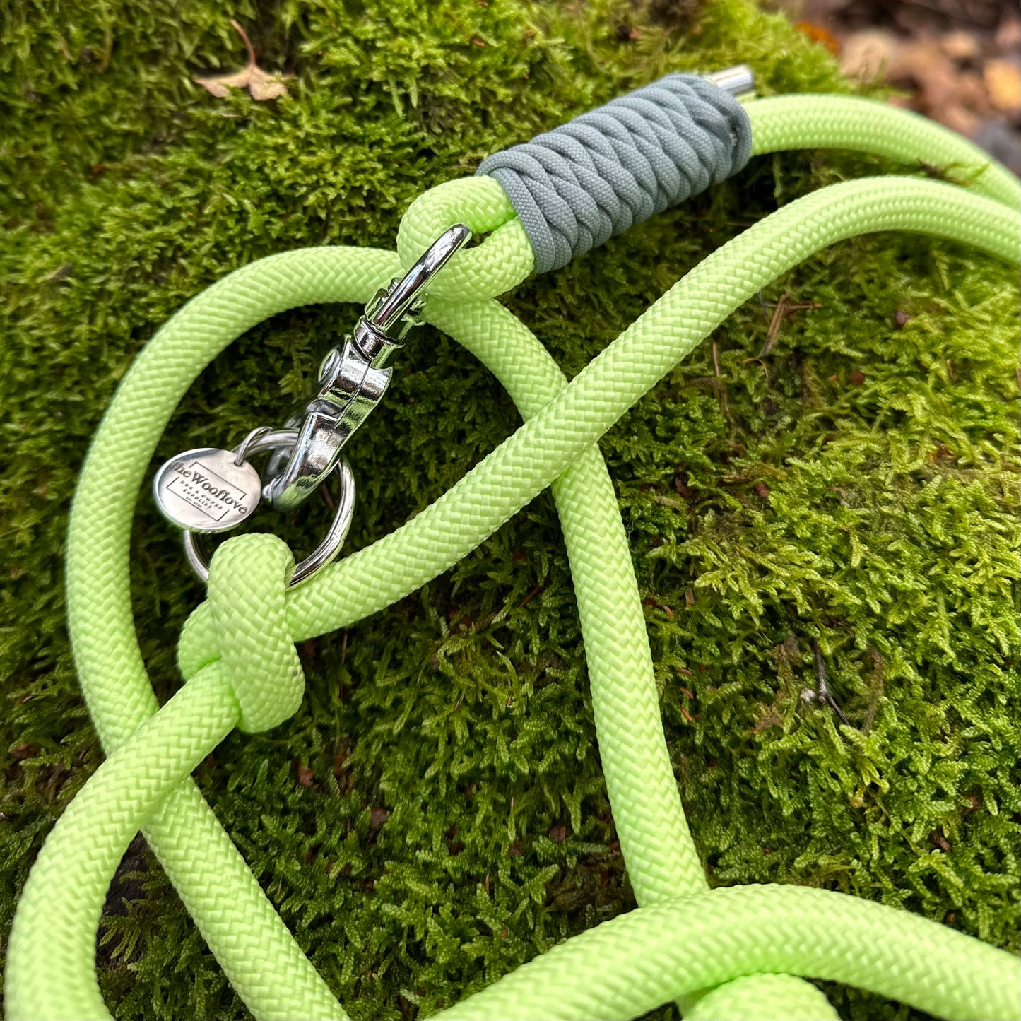 Hundeleine Glow in the Dark