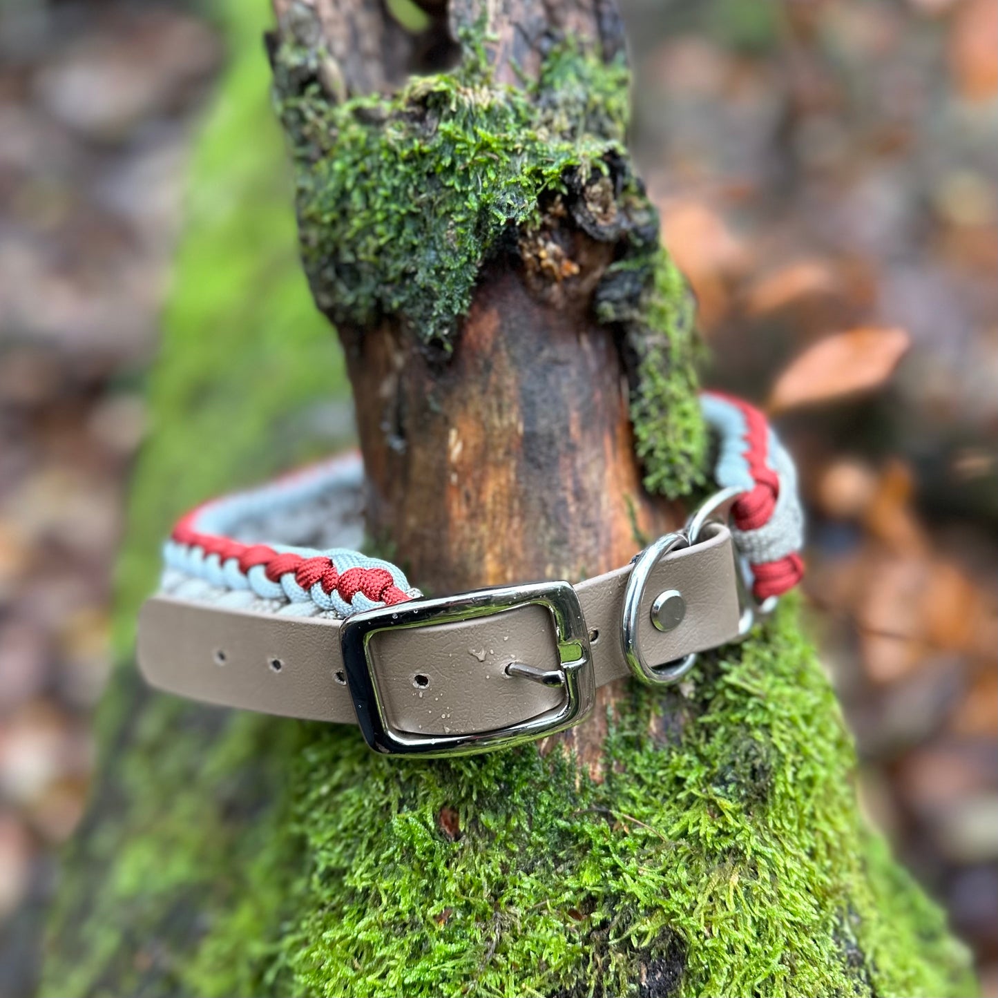 Paracordhalsband Phönix (Sofortkauf)