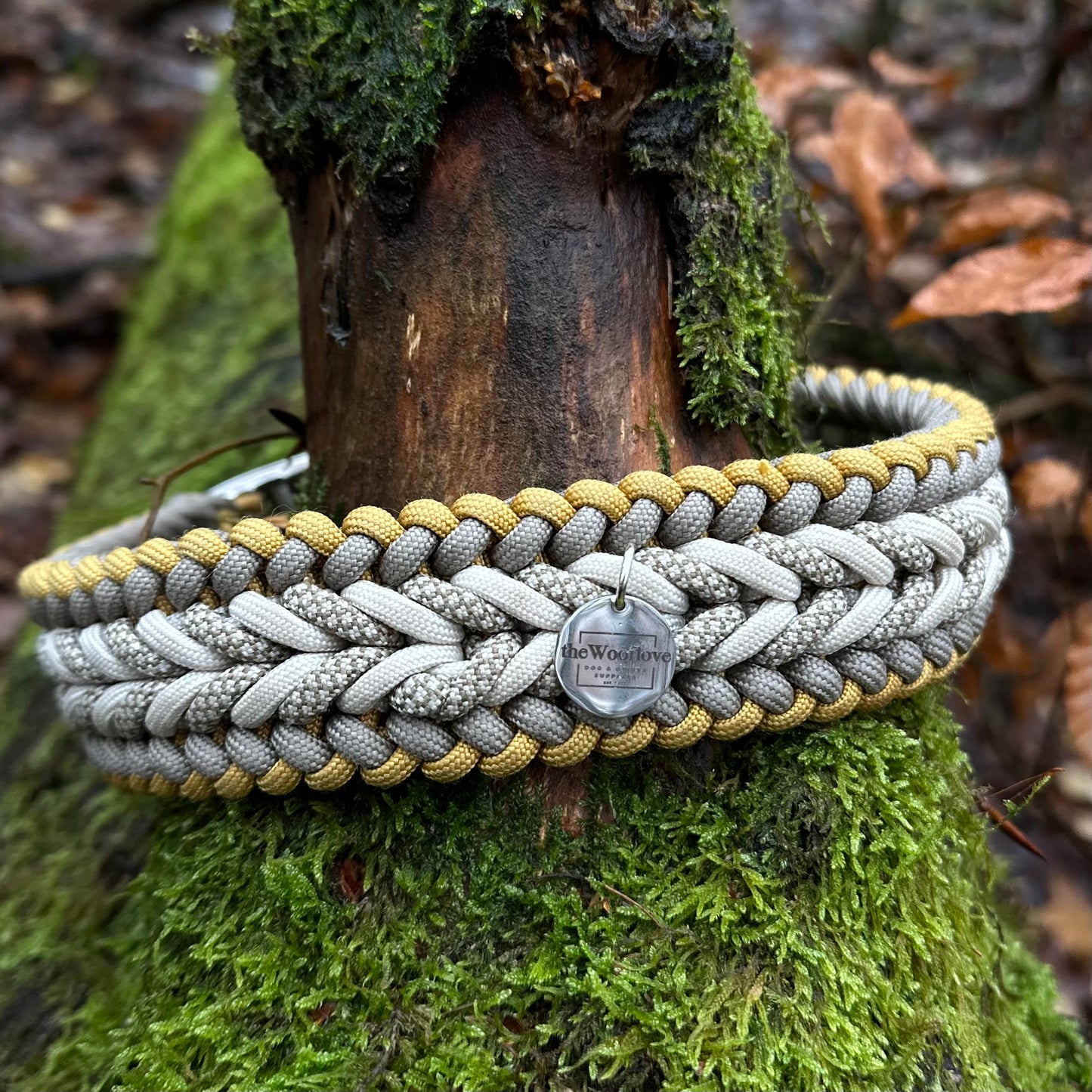 Paracordhalsband Golden Hour (Sofortkauf)