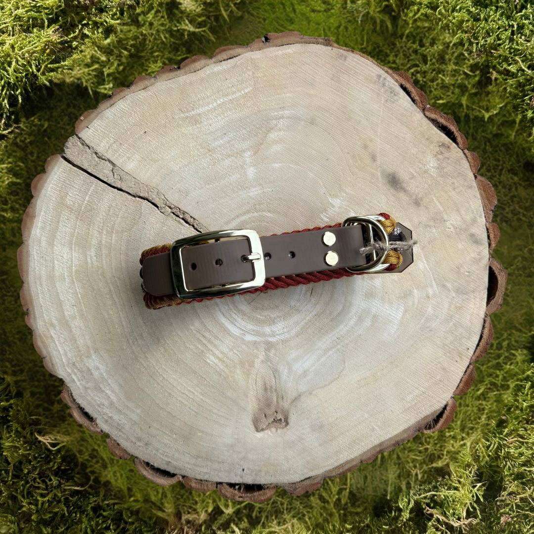 Paracordhalsband Meschede
