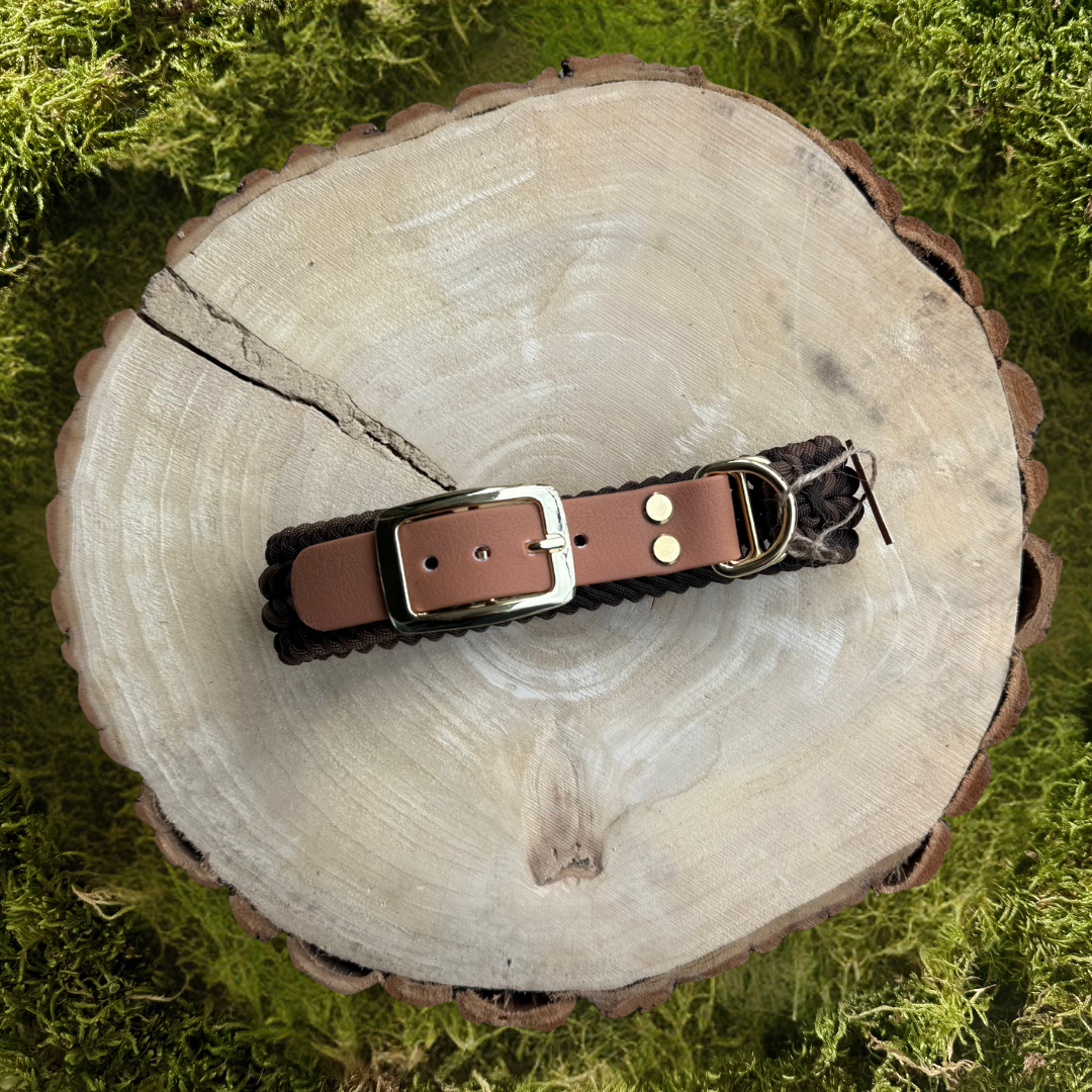 Paracordhalsband Fredeburg