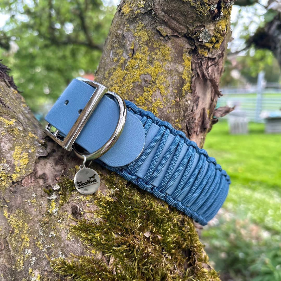 BioThane® x Paracordhalsband Petrol