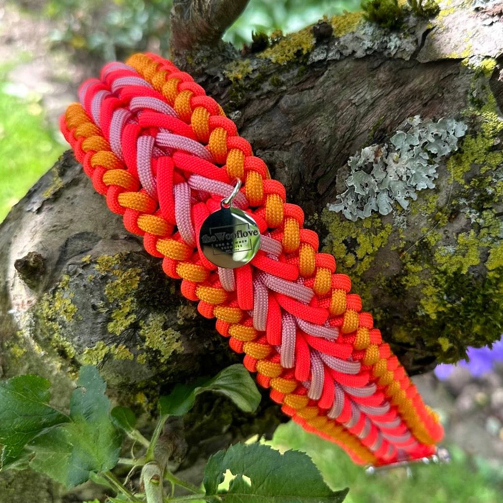 Paracordhalsband Fire (Sofortkauf)