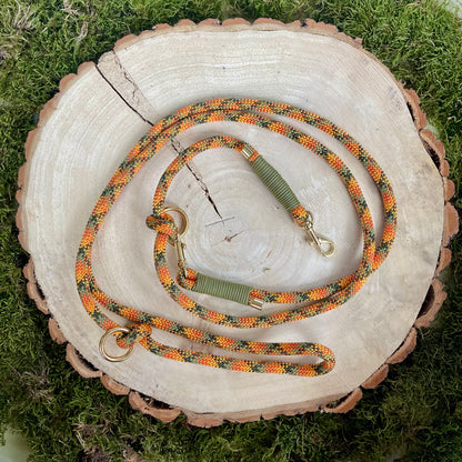 Hundeleine Pumpkin Mini