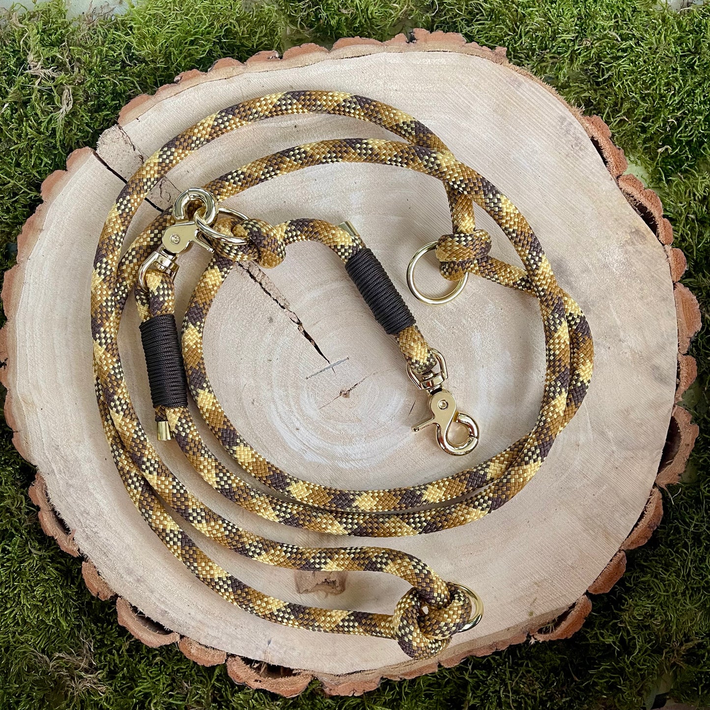 Hundeleine Brunskappel