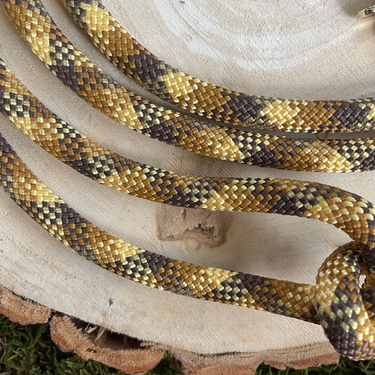 Hundeleine Brunskappel