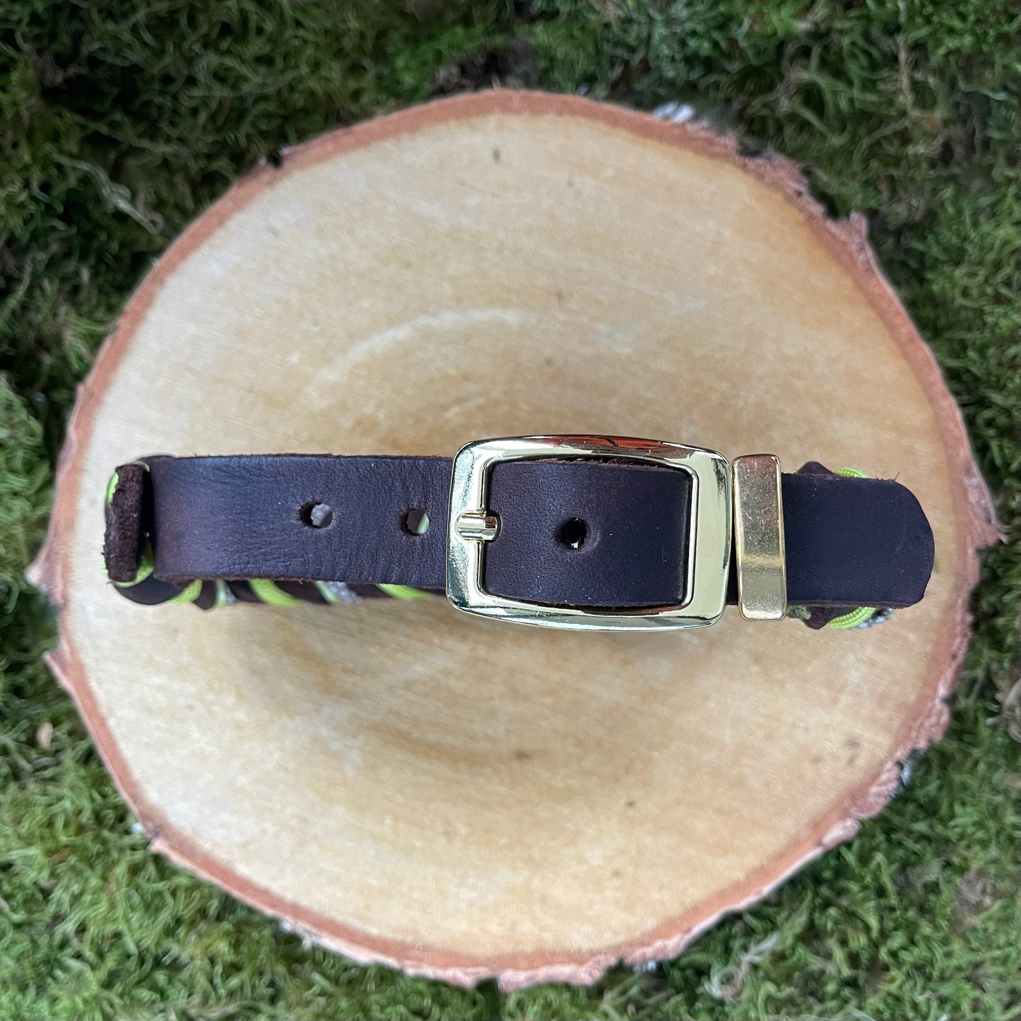 Fettlederhalsband HSK