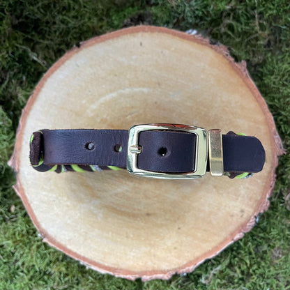 Fettlederhalsband HSK