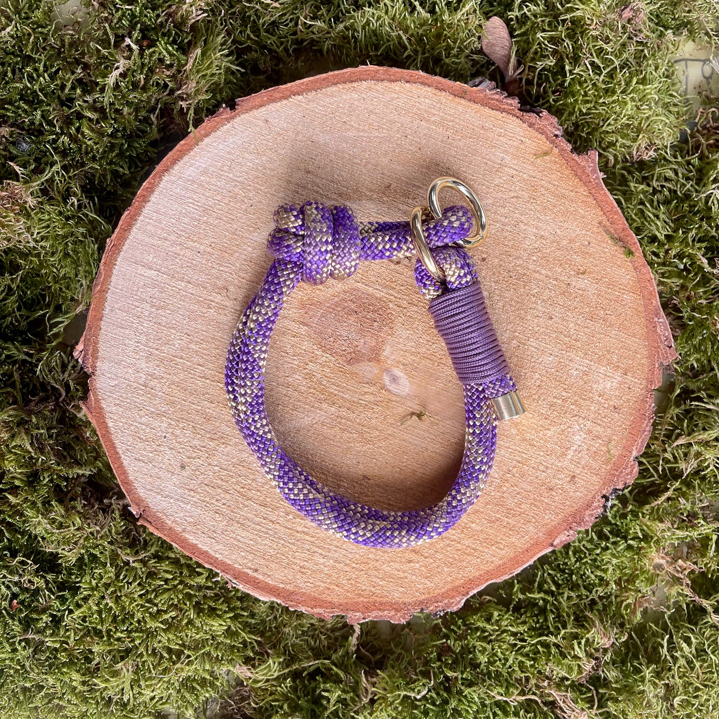 Halsband Zug Stopp Bödefeld Mini