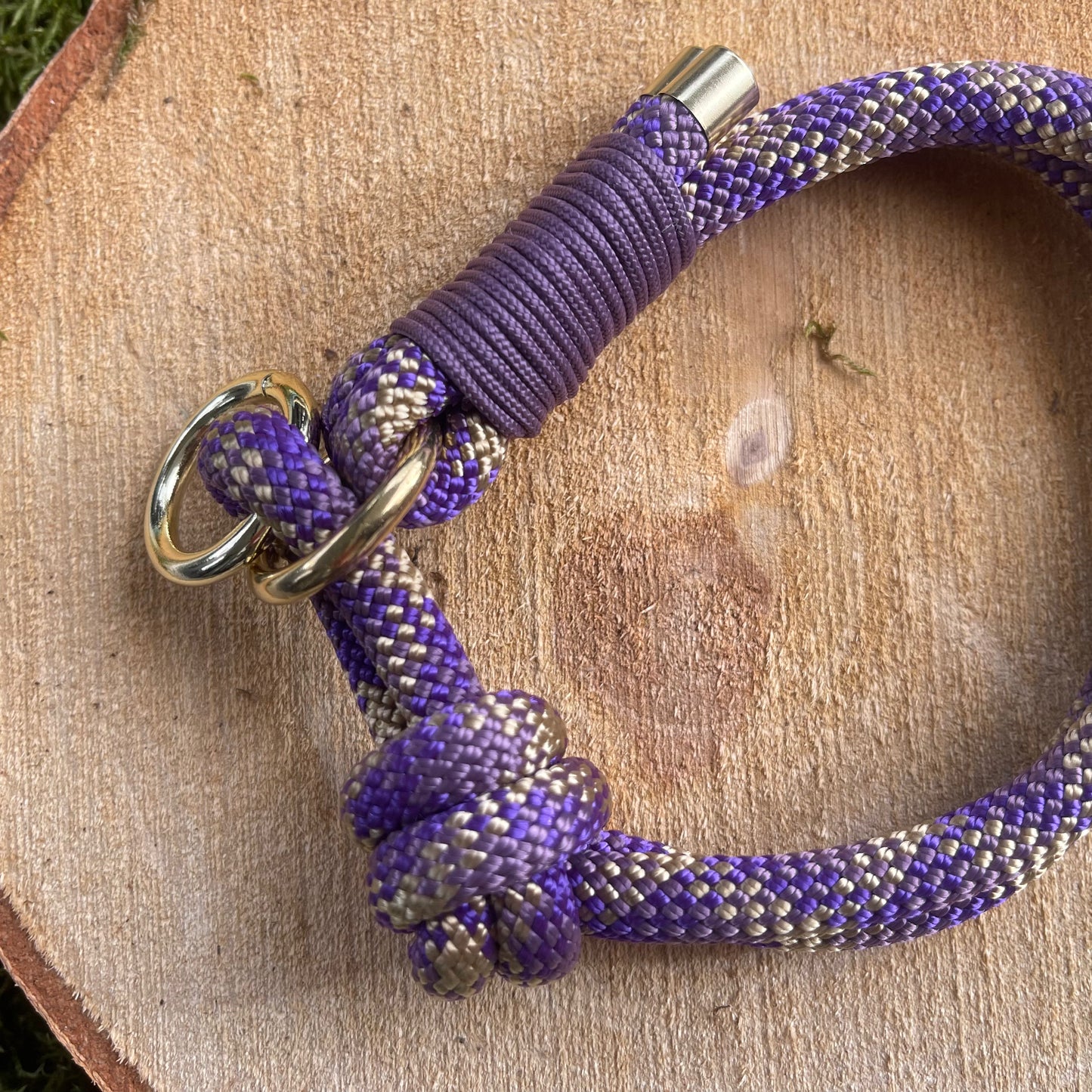 Halsband Zug Stopp Bödefeld Mini