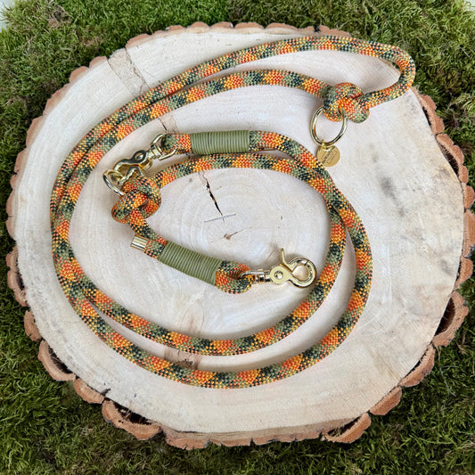 Hundeleine Pumpkin