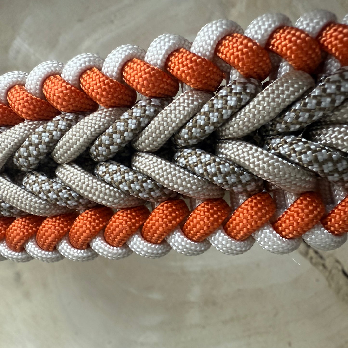 Paracordhalsband Arnsberg