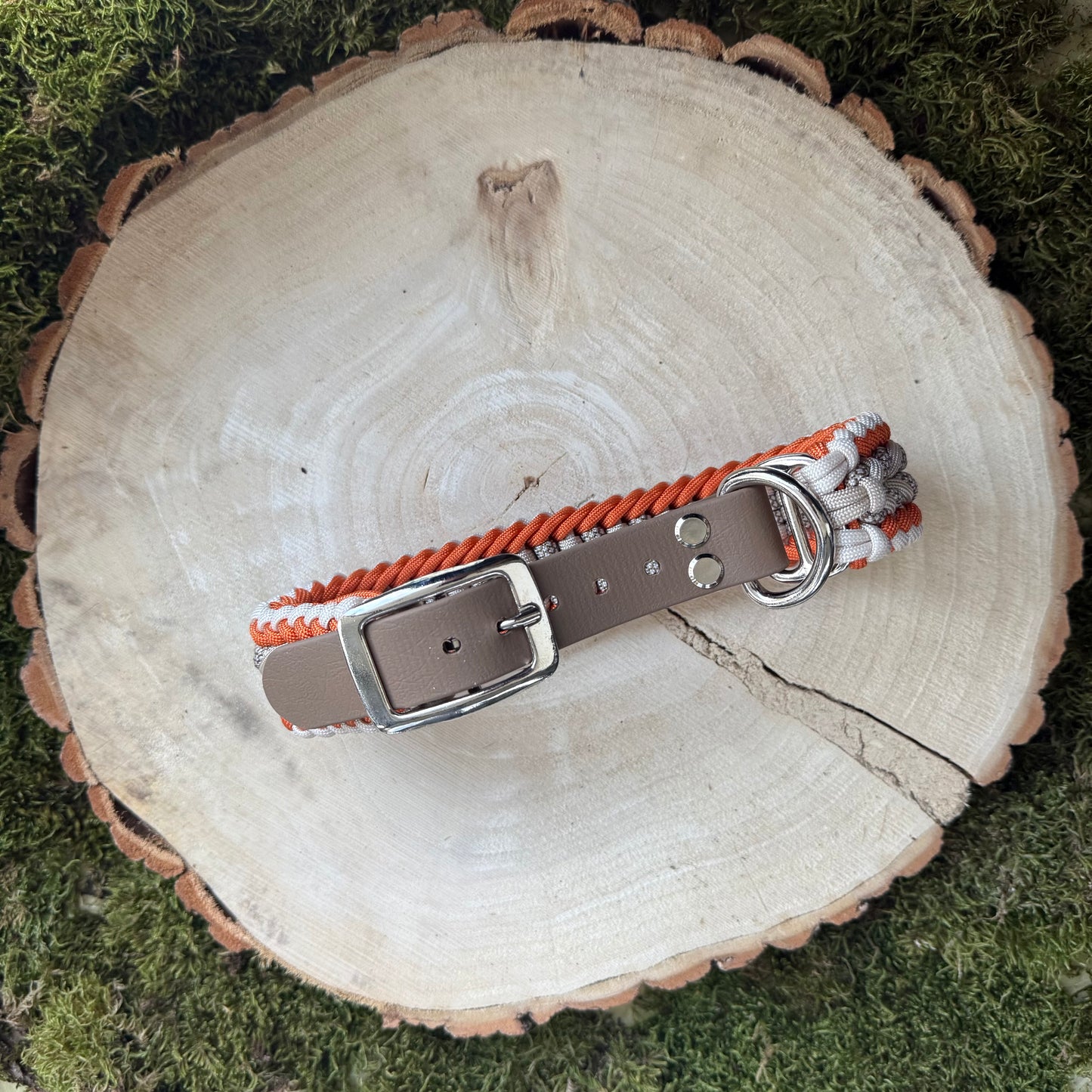 Paracordhalsband Arnsberg