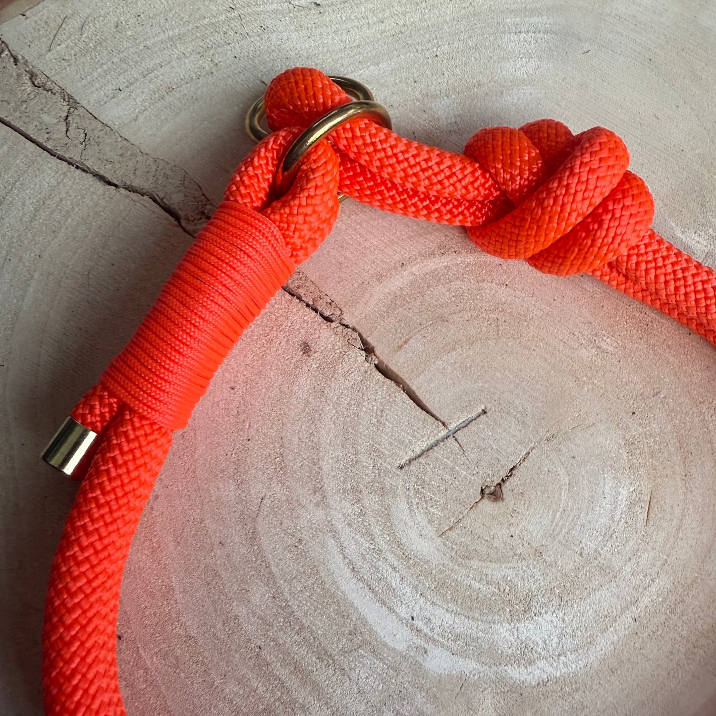 Halsband Zug Stopp Sunny
