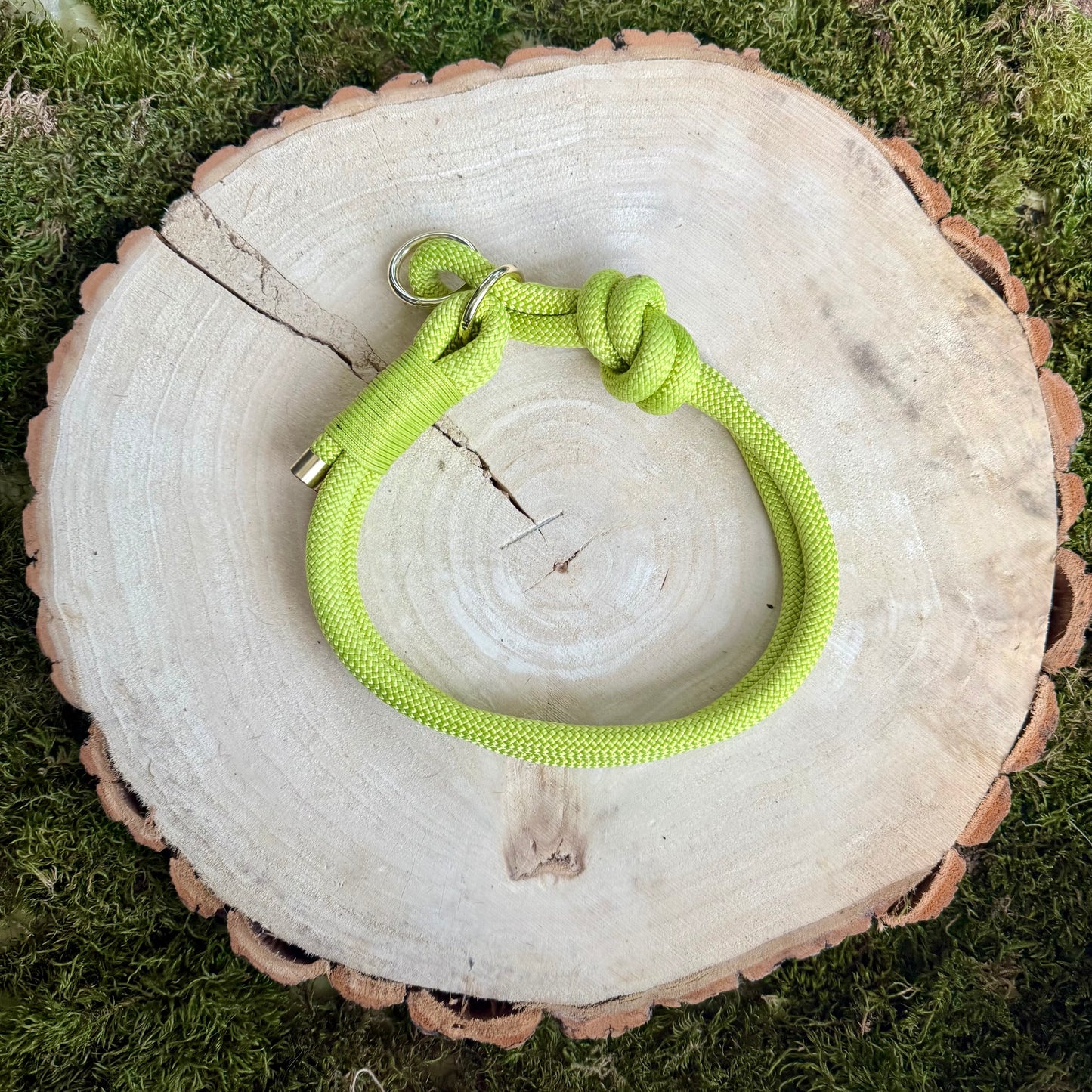 Halsband Zug Stopp Limone