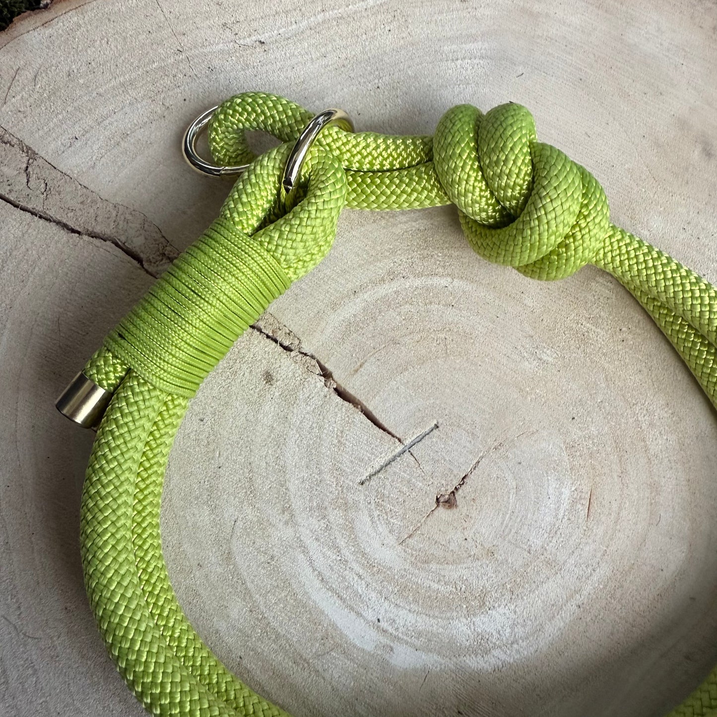 Halsband Zug Stopp Limone