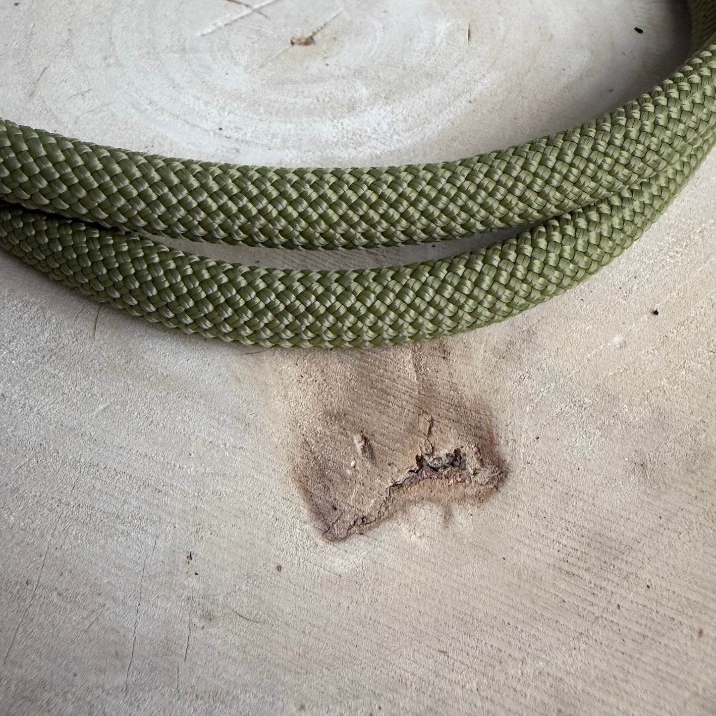 Halsband Zug Stopp Moos