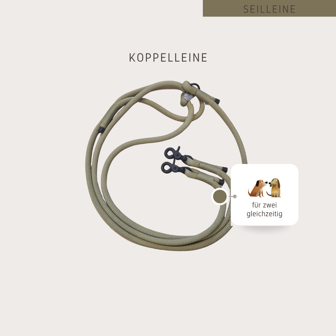 Seil-Koppelleine