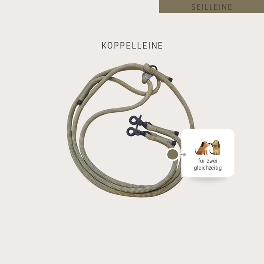 Seil-Koppelleine