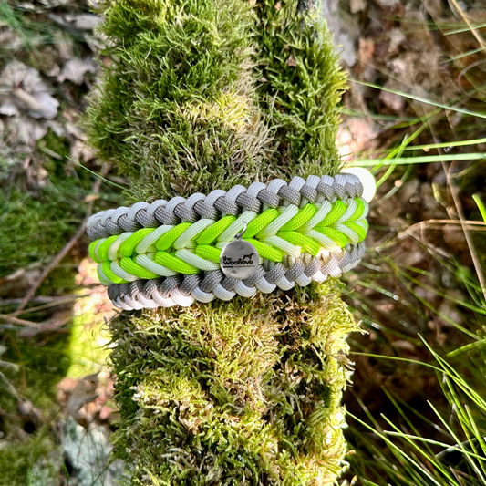 Paracordhalsband Lime