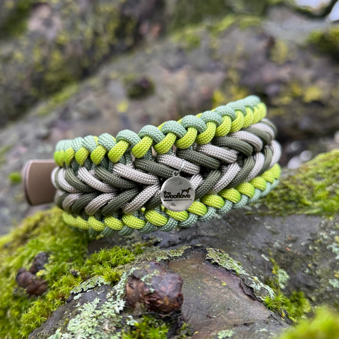 Paracordhalsband Sauerland (Sofortkauf)