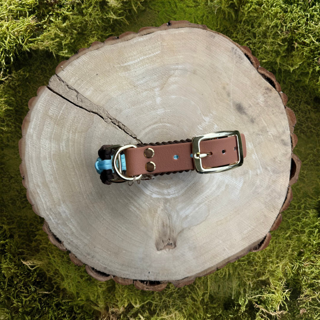 Paracordhalsband Warstein