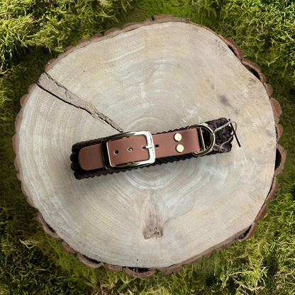 Paracordhalsband Fredeburg