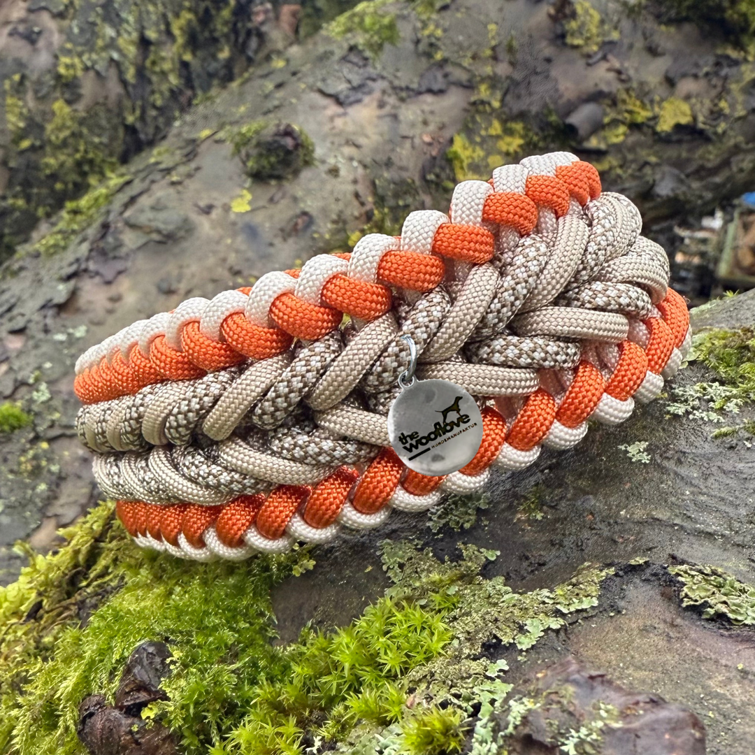 Paracordhalsband Arnsberg