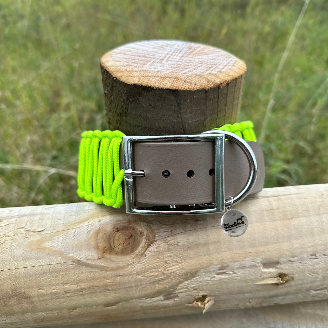 BioThane® x Paracordhalsband Lime