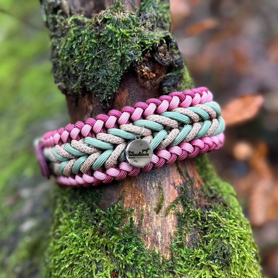 Paracordhalsband Watermelon