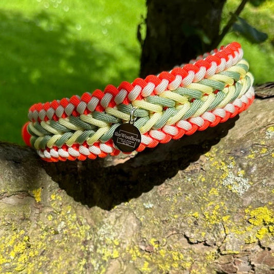 Paracordhalsband Motti (Sofortkauf)
