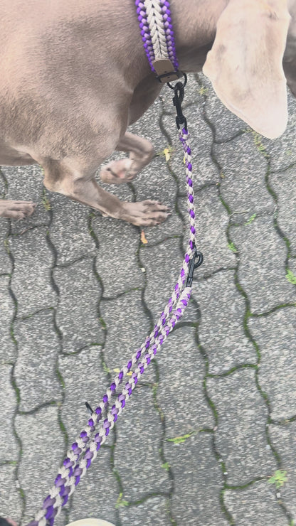Paracordhalsband Korbach